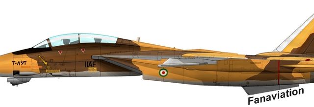 Grumman F-14 TOMCAT