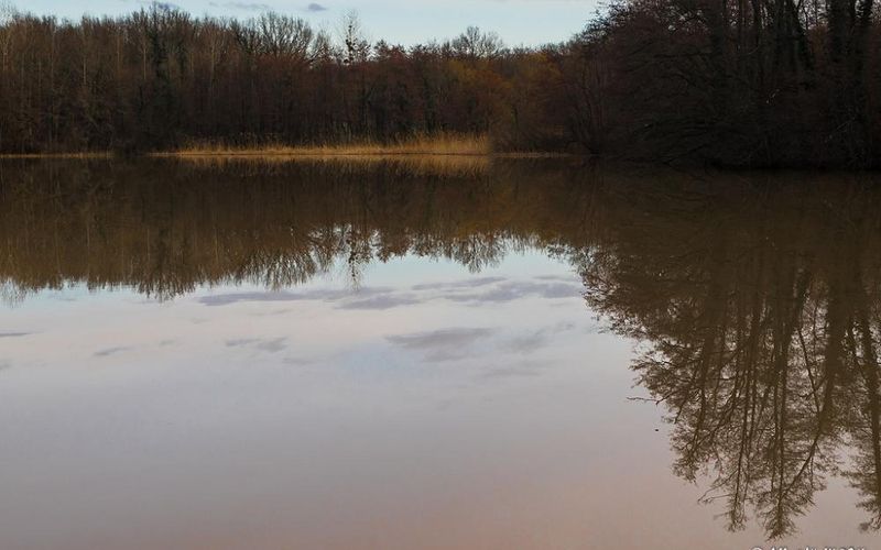 L'appel de la nature - 2 -