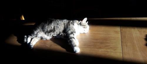 Comment prendre un bain de soleil en hiver