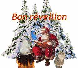Bon réveillon de Noël à tous !