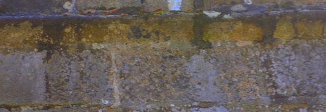    A la  prochaine  fois  peut être 