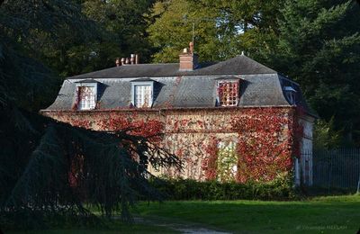 Ma balade du 1er novembre au Parc du Château de Rambouillet