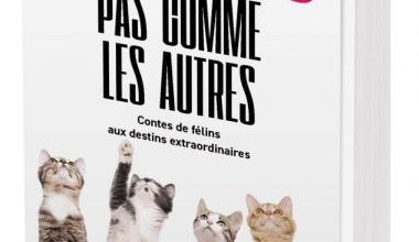 Des chats pas comme les autres