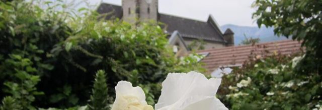 Le temps des fleurs...