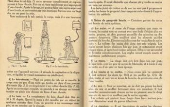 Leçons de choses