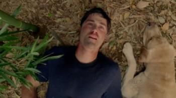 LOST : the end ?
