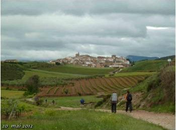 (J46) Cirauqui / Uterga 20 mai 2012