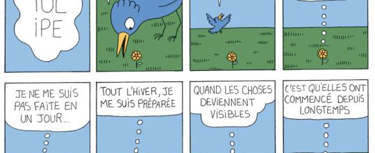 Tulipe Comix