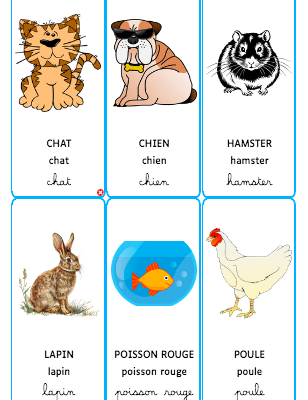 Création de jeux de cartes 
