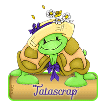 574 B - Tortue chapeautée - blinkie, gif anime, signature