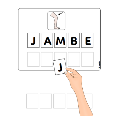 cahiers de mots sur le corps humain