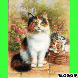 DIAPORAMA ANIMAUX