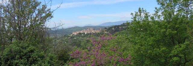 Fayence dans le Var (83)