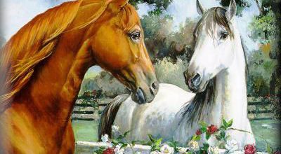 DE BEAUX CHEVAUX