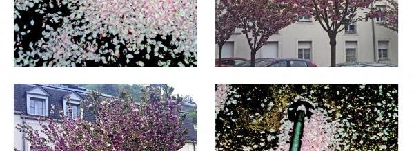 Voici le mois de mai - Here is the month of May