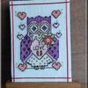 LJT Owls SAL Février