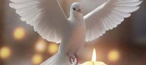 hommage à Guy QUEYROUX mari d'Eliane