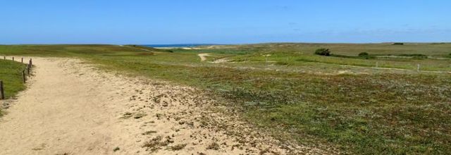 Erdeven Morbihan Bretagne - Les dunes (fin)