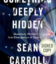 Free internet ebooks download Something Deeply Hidden: Quantum Worlds and the Emergence of Spacetime 9781524745967