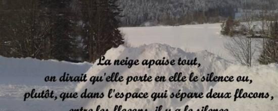 Joyeux hiver