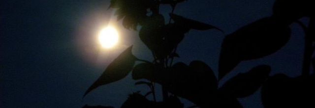 Le soleil et la lune