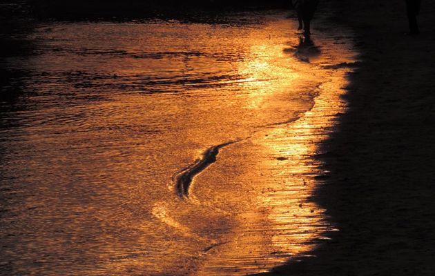 un soir en reflets d'or !