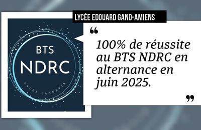 BTS en alternance au lycée Edouard Gand à Amiens, NDRC (relation client)