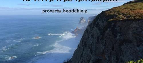 La vie est courte, citation en image