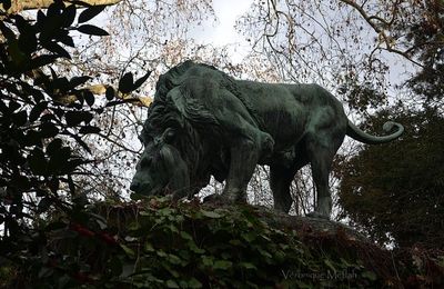 Jardin des Plantes : La Fontaine aux Lions