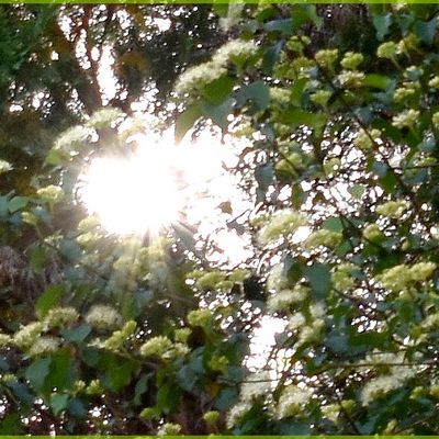 Au bon moment et au bon endroit.