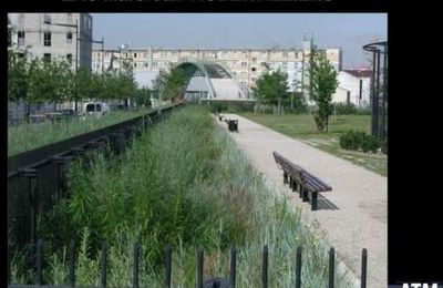 Gestion intégrée des eaux pluviales