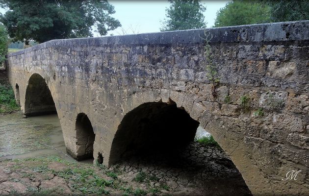 Saint Jacques 2015, de Larressingle à Lamothe: 19Km #1