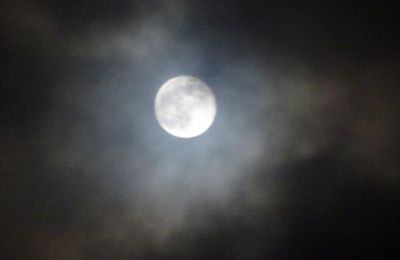 Lune de janvier - Lune du loup