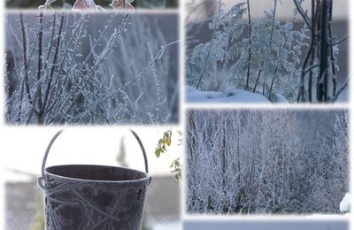 Instants d'hiver *1  +  miss Emy