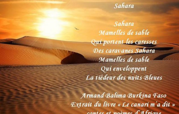 Poèmes extraits du livre « Le canari m’a dit » contes et poèmes d’Afrique (Sahara)