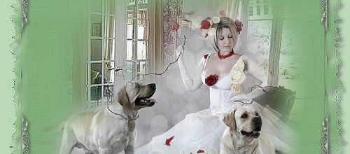 joli tube avec chiens...