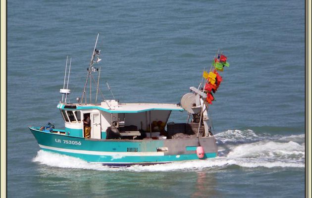 Retour de pêche vu du pont de l'île de Ré - 17