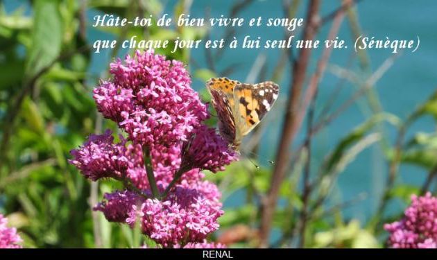 Bien vivre