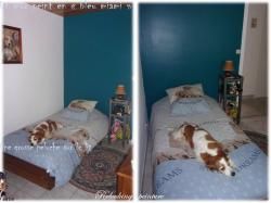 En pleine rénovation