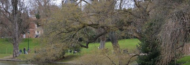 Parc des Buttes Chaumont 