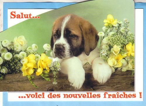 ...En convalescence (nouvelles au 11/10/2013)