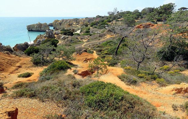 la Praia dos Arrifes
