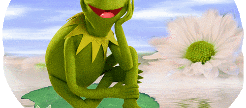 Météo Grenouille...
