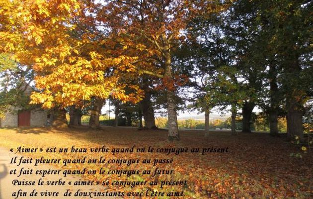 Aimer...