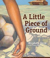 Download PDF A Little Piece of Ground