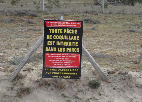 Le traict du Croisic à marée basse (coté Pen Bron)