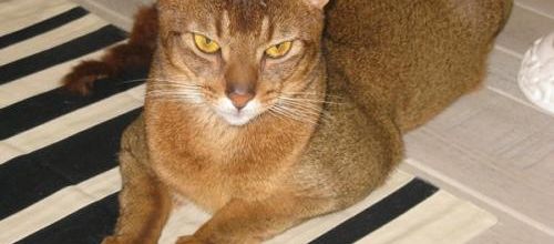 Une bien agréable rencontre !!!!! 