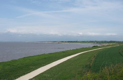 la baie de L'Aiguillon 
