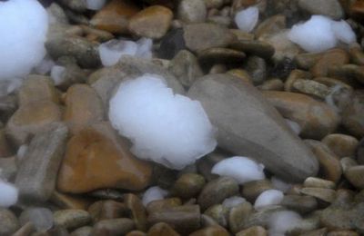 Avant et après l'orage de grêle... le jardin !