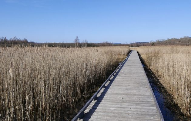 Le 31 janvier : Aux Lésines 2
